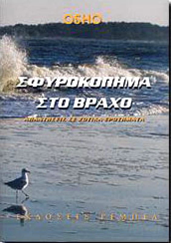 ΡΕΜΠΕΛ ΣΦΥΡΟΚΟΠΗΜΑ ΣΤΟ ΒΡΑΧΟ