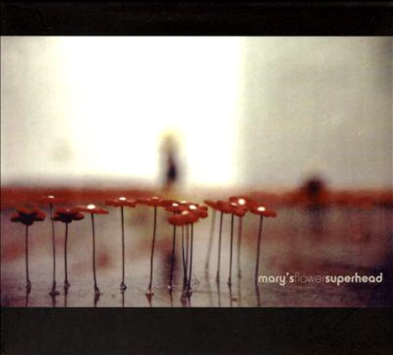 MARY' S FLOWER SUPERHEAD (CD)
