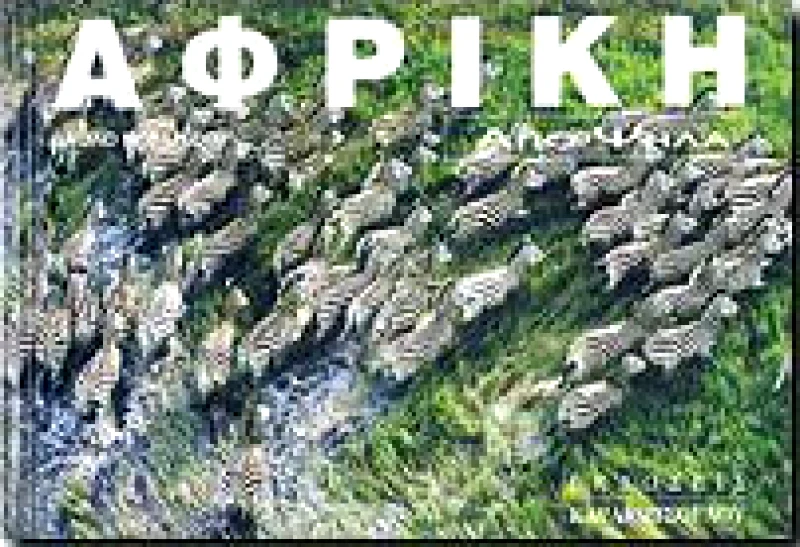ΚΑΡΑΚΩΤΣΟΓΛΟΥ ΑΦΡΙΚΗ ΑΠΟ ΨΗΛΑ