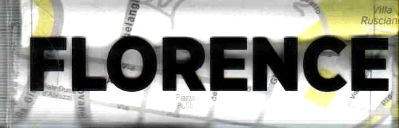 PALOMAR WEB CRUMPLED CITY MAP FLORENCE