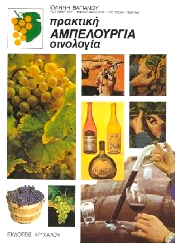 ΨΥΧΑΛΟΣ ΠΡΑΚΤΙΚΗ ΑΜΠΕΛΟΥΡΓΙΑ ΚΑΙ ΟΙΝΟΛΟΓΙΑ