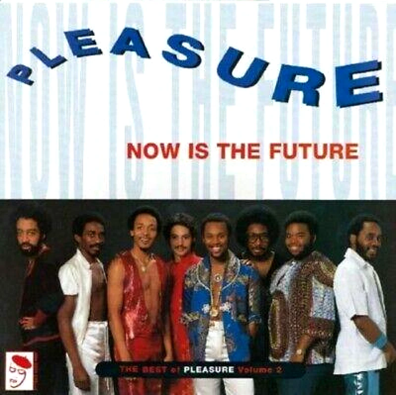 PLEASURE NOW IS THE FUTURE THE BEST OF PLEASURE LP