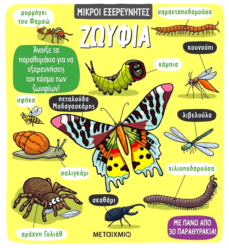 ΜΕΤΑΙΧΜΙΟ ΖΩΥΦΙΑ