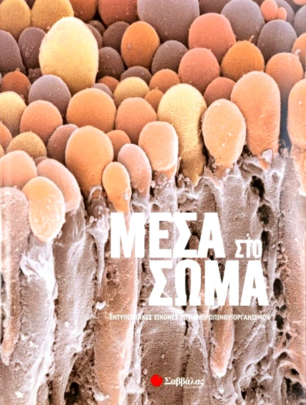 ΣΑΒΒΑΛΑΣ ΜΕΣΑ ΣΤΟ ΣΩΜΑ