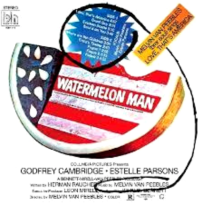 MELVIN VAN PEEBLES / SINGS LOVE THATS AMERICA - LP 180gr