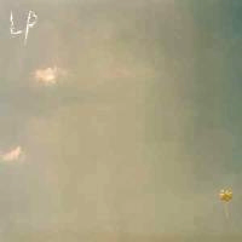 LOTUS PLAZA / SPOOKY ACTION AT A DISTANCE - CD