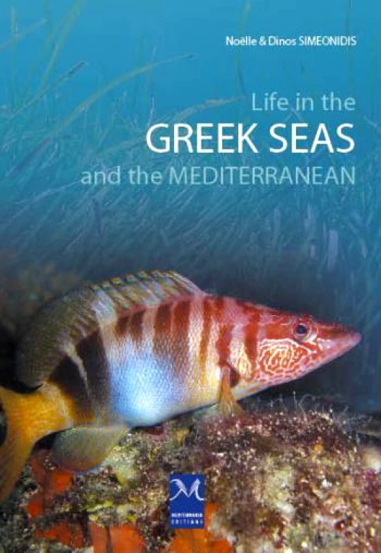 MEDITERRANEO Η ΖΩΗ ΣΤΙΣ ΕΛΛΗΝΙΚΕΣ ΘΑΛΑΣΣΕΣ ΚΑΙ ΤΗ ΜΕΣΟΓΕΙΟ (ΑΓΓΛΙΚΑ)