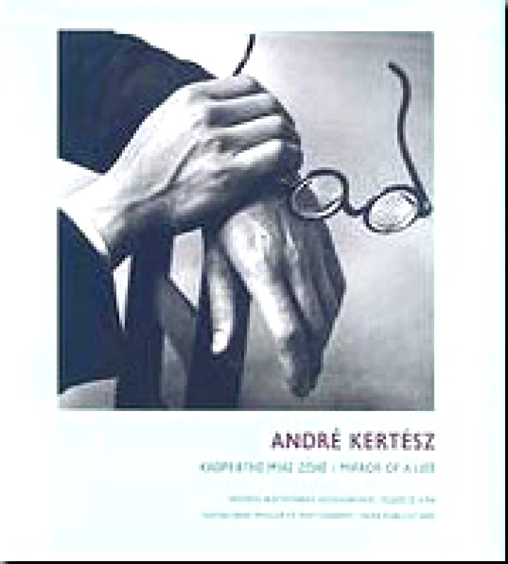 ΚΑΘΡΕΦΤΗΣ ΜΙΑΣ ΖΩΗΣ MIRROR OF A LIFE φωτογραφία