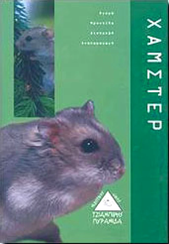 ΤΖΙΑΜΠΙΡΗΣ-ΠΥΡΑΜΙΔΑ ΧΑΜΣΤΕΡ