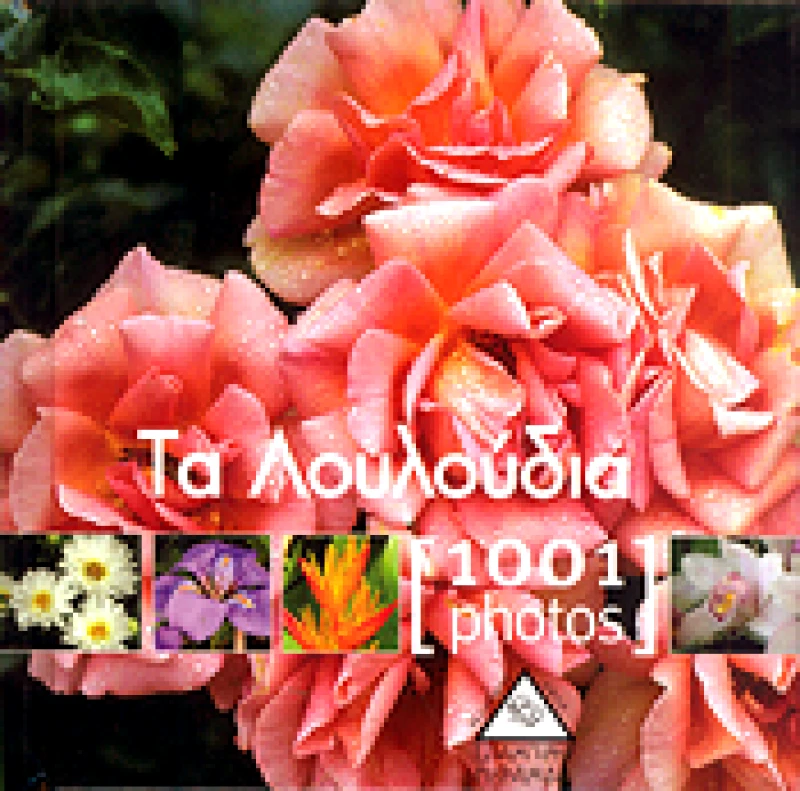ΤΖΙΑΜΠΙΡΗΣ-ΠΥΡΑΜΙΔΑ 1001 PHOTOS ΤΑ ΛΟΥΛΟΥΔΙΑ
