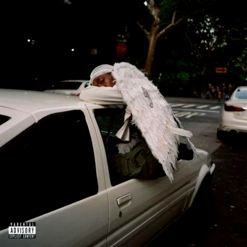 DOMINO BLOOD ORANGE / NEGRO SWAN - CD