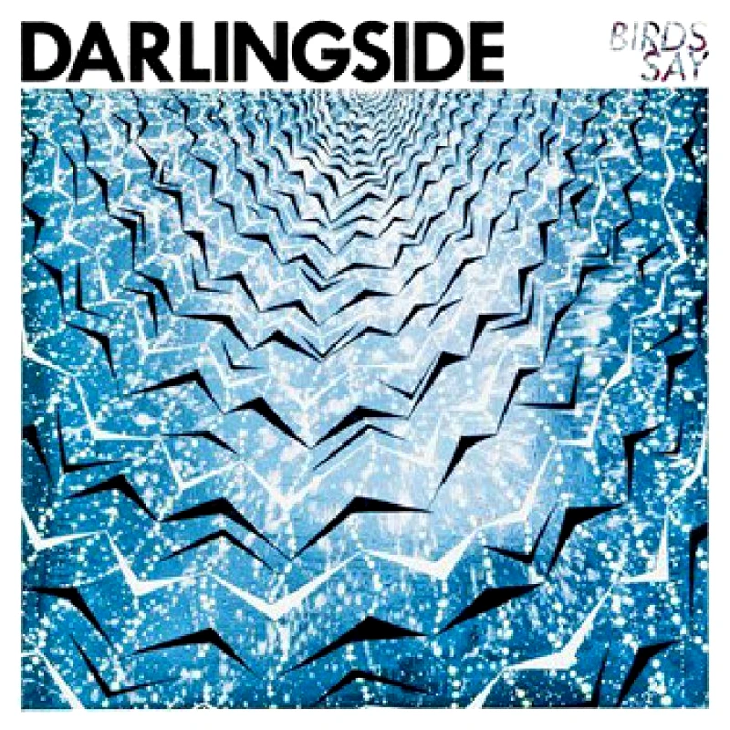 DARLINGSIDE BIRDS SAY LP REC STORE DAY 2017