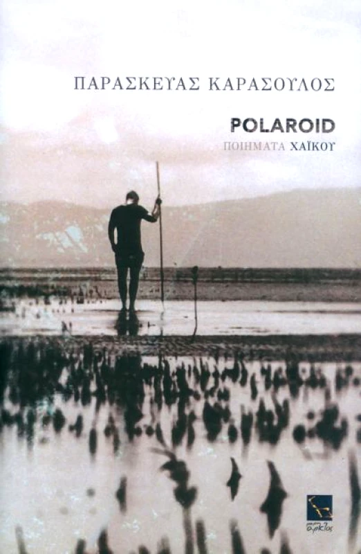 ΜΙΚΡΗ ΑΡΚΤΟΣ POLAROID