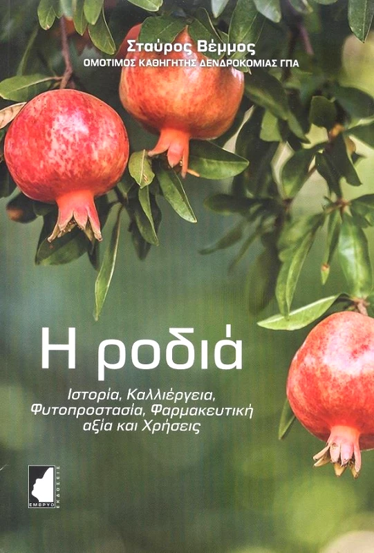 ΕΜΒΡΥΟ Η ΡΟΔΙΑ