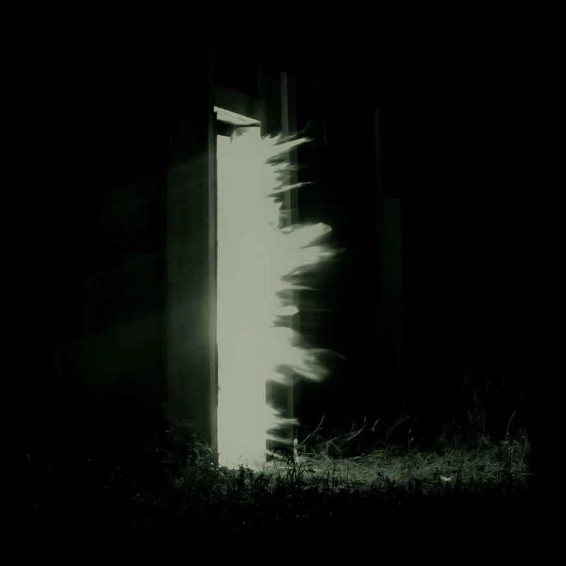FINK / HORIZONTAQLISM - 10'' LP