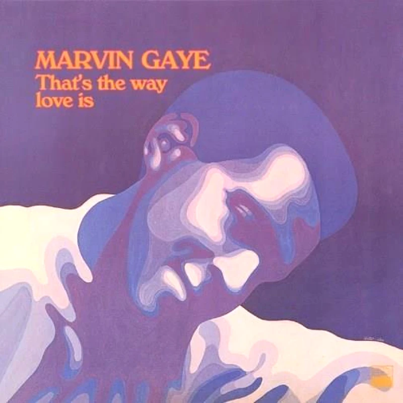 GAYE MARVIN / THATS THE WAY LOVE IS - LP 180GR