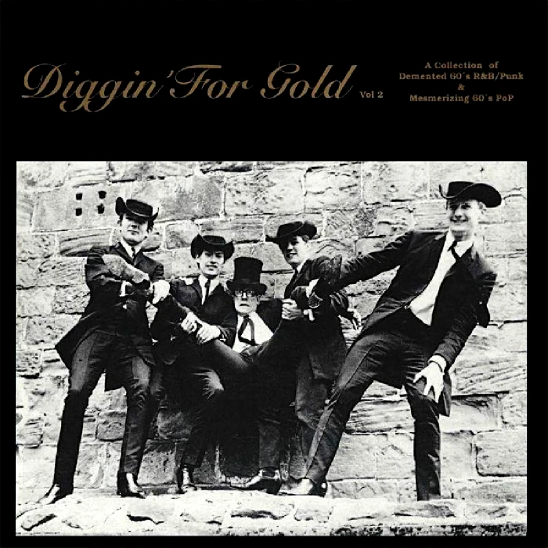 VARIOUS DIGGIN FOR GOLD VOL 2 LP