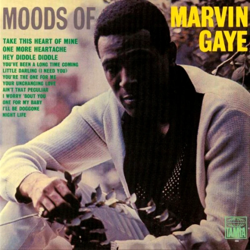 MARVIN GAYE / MOODS OF MARVIN GAYE - LP 180GR