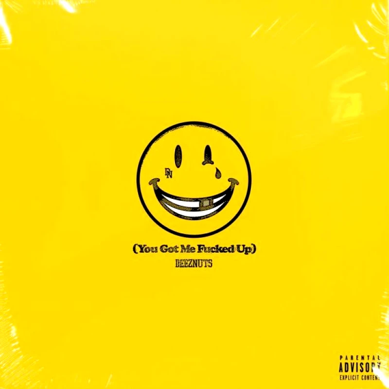 DEEZ NUTS / YOU GOT ME FUCKED UP - LP CD 180gr