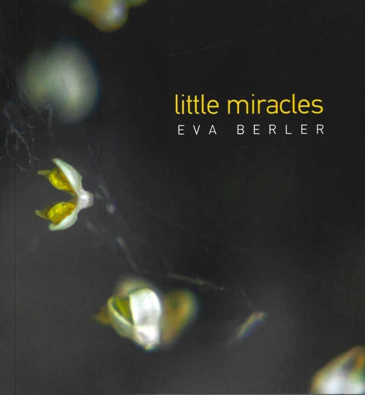 IFOCUS EDITIONS LITTLE MIRACLES