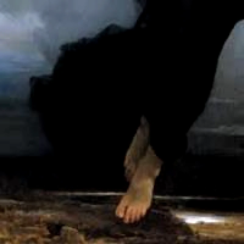 NYX NOTT / AUX PIEDS DE LA NUIT - CD