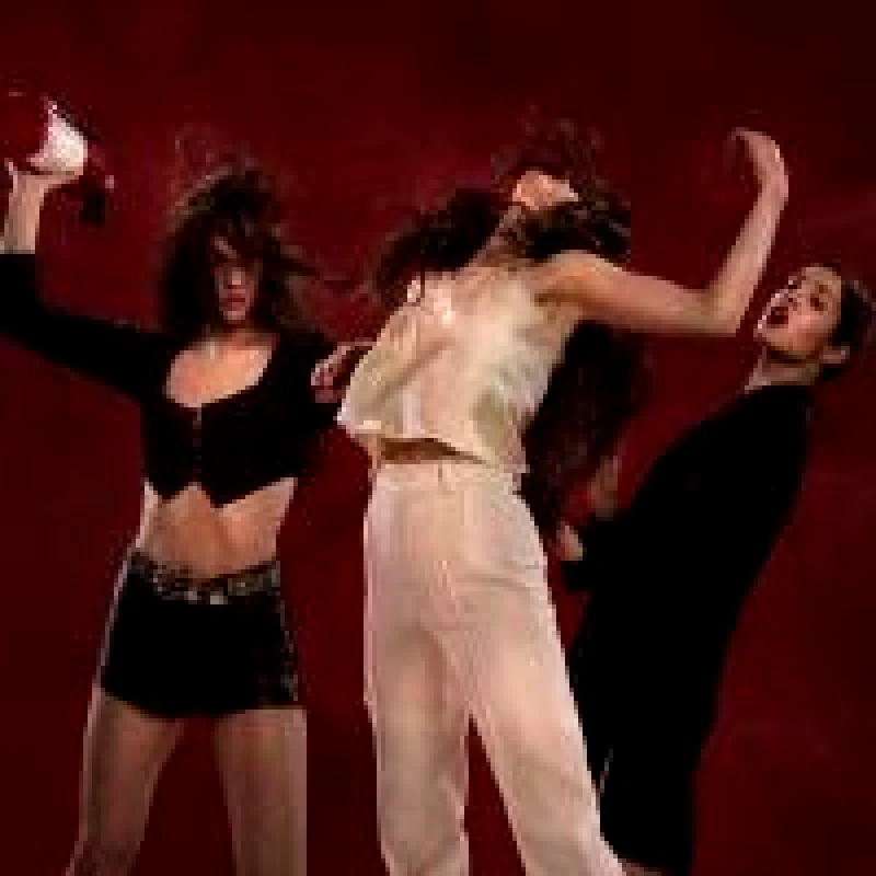 MARIE DAVIDSON & L IL NU / RENEGADE BREAKDOWN - CD