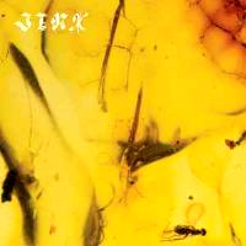 CRUMB / JINX - CD DIGIPAK