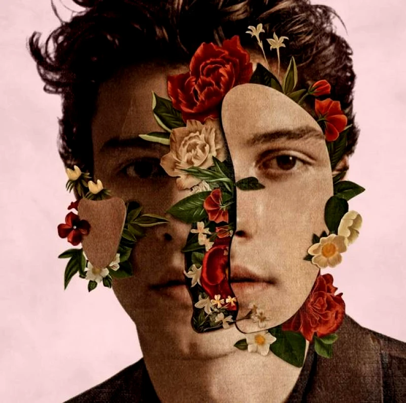 ISLAND RECORDS SWAN MENDES / SWAN MENDES - CD DEL EDIT