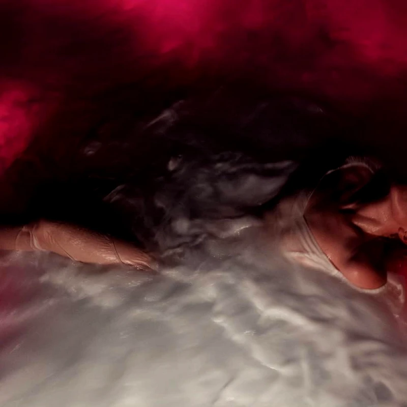 WILLIAMS HAYLEY / FLOWER FOR VASES - CD BERTUS