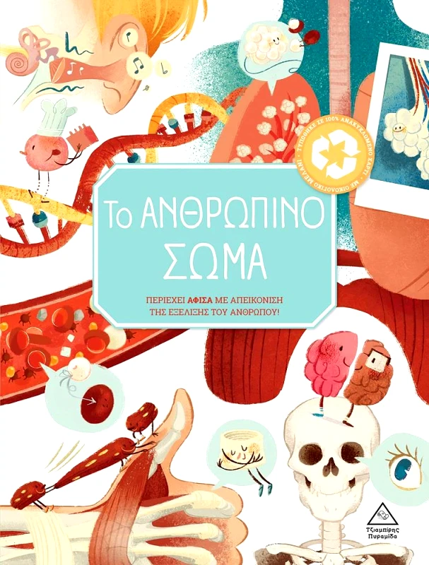 ΤΖΙΑΜΠΙΡΗΣ-ΠΥΡΑΜΙΔΑ ΤΟ ΑΝΘΡΩΠΙΝΟ ΣΩΜΑ