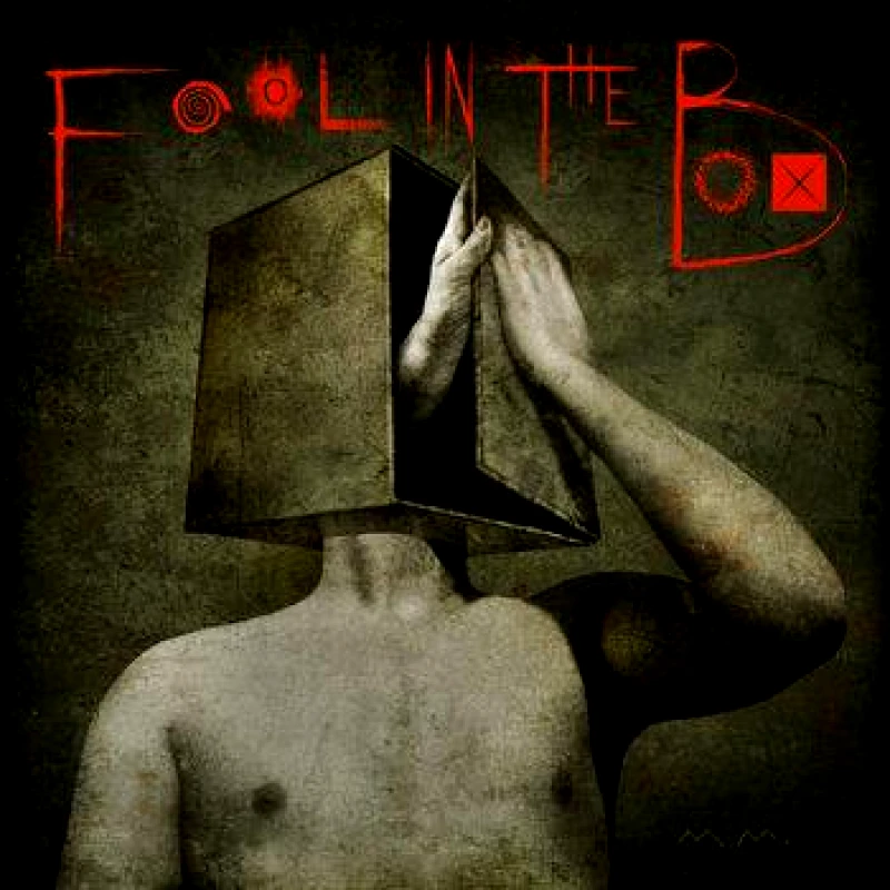 FOOL IN THE BOX / FOOL IN THE BOX - LP 180gr