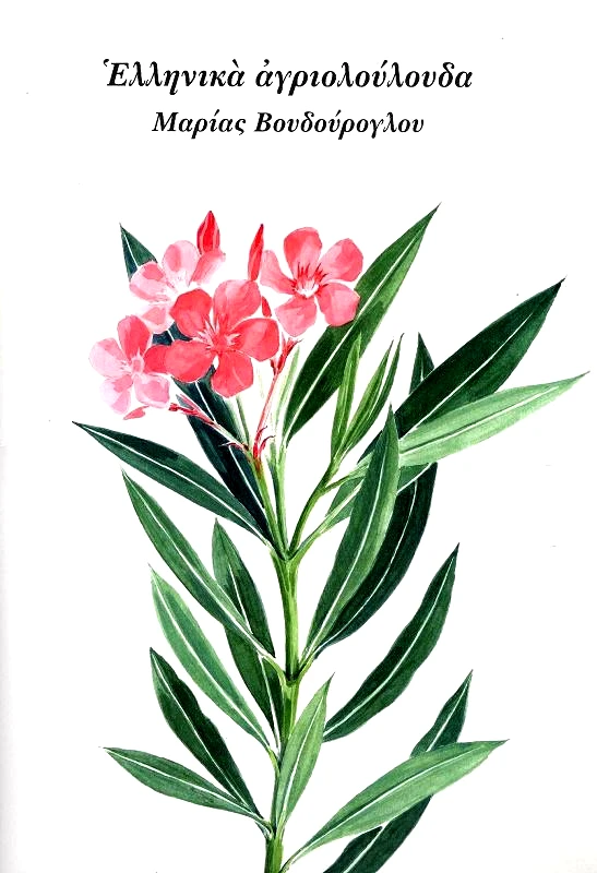 ΚΑΠΟΝ ΕΛΛΗΝΙΚΑ ΑΓΡΙΟΛΟΥΛΟΥΔΑ