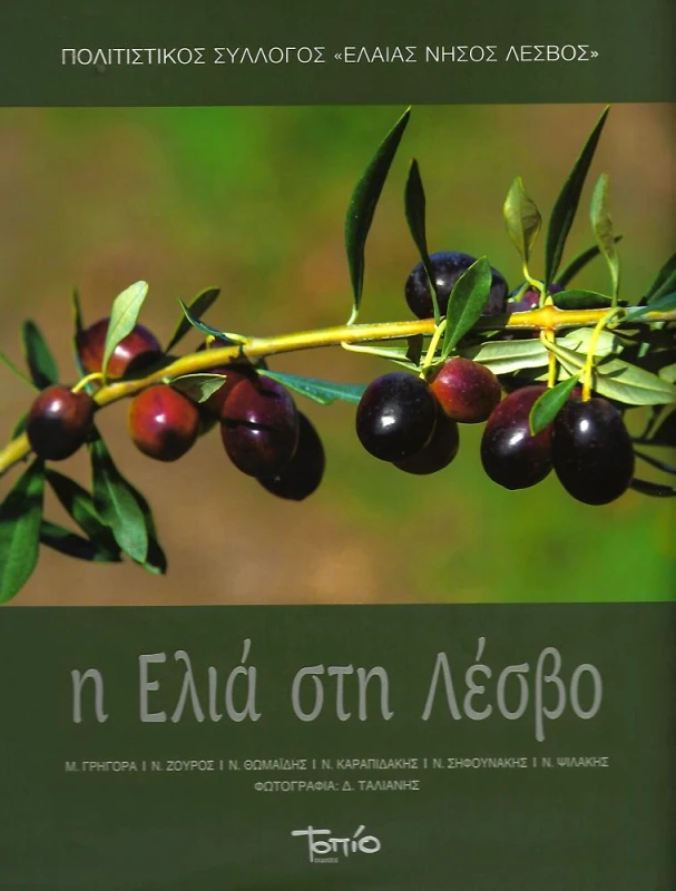 ΤΟΠΙΟ Η ΕΛΙΑ ΣΤΗ ΛΕΣΒΟ