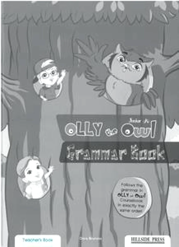 HILLSIDE PRESS OLLY THE OWL JUNIOR B GRAMMAR BOOK