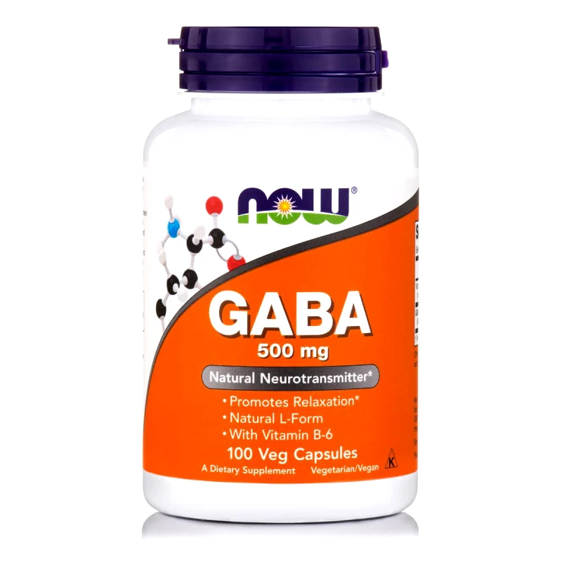 Now Now Foods GABA 500mg With Vitamin B6 Συμπλήρωμα Διατροφής που Καταπολεμά με Φυσικό Τρόπο το Άγχος & το Στρες 100 Vegcaps