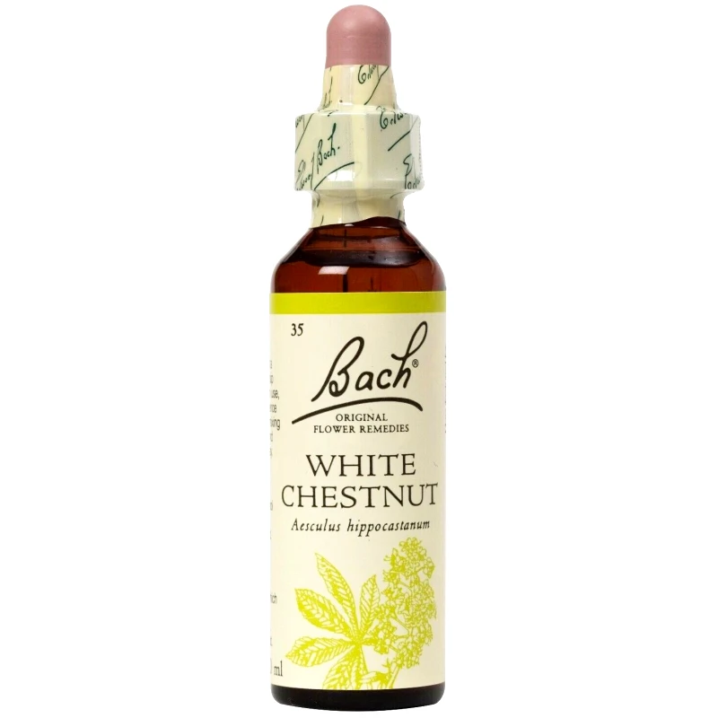 Bach Bach White Chestnut Συμπλήρωμα Διατροφής με Εκχύλισμα Άσπρης Αγριοκαστανιάς για την Ενίσχυση της Συγκέντρωσης & της Ηρεμίας 20ml