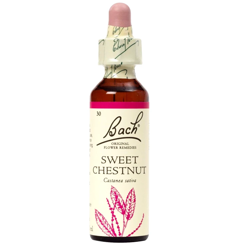 Bach Bach Sweet Chestnut Συμπλήρωμα Διατροφής Ανθοϊάματος με Εκχύλισμα από Κάστανο για Ενίσχυση της Αυτοπεποίθησης & του Θάρρους 20ml