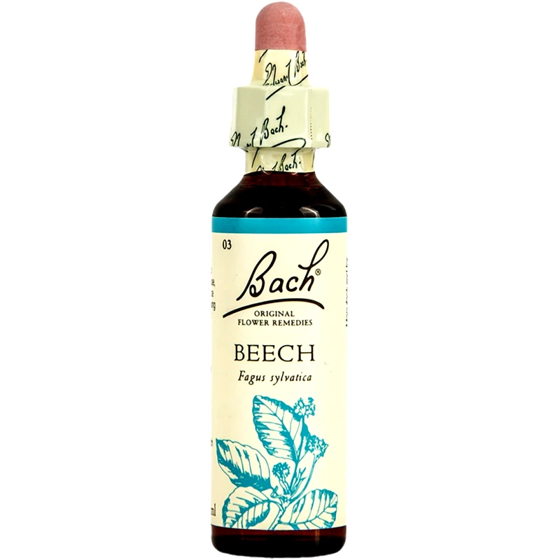 Bach Bach Beech Συμπλήρωμα Διατροφής με Εκχύλισμα Οξιάς για Ενίσχυση της Κατανόησης & της Επιείκειας 20ml