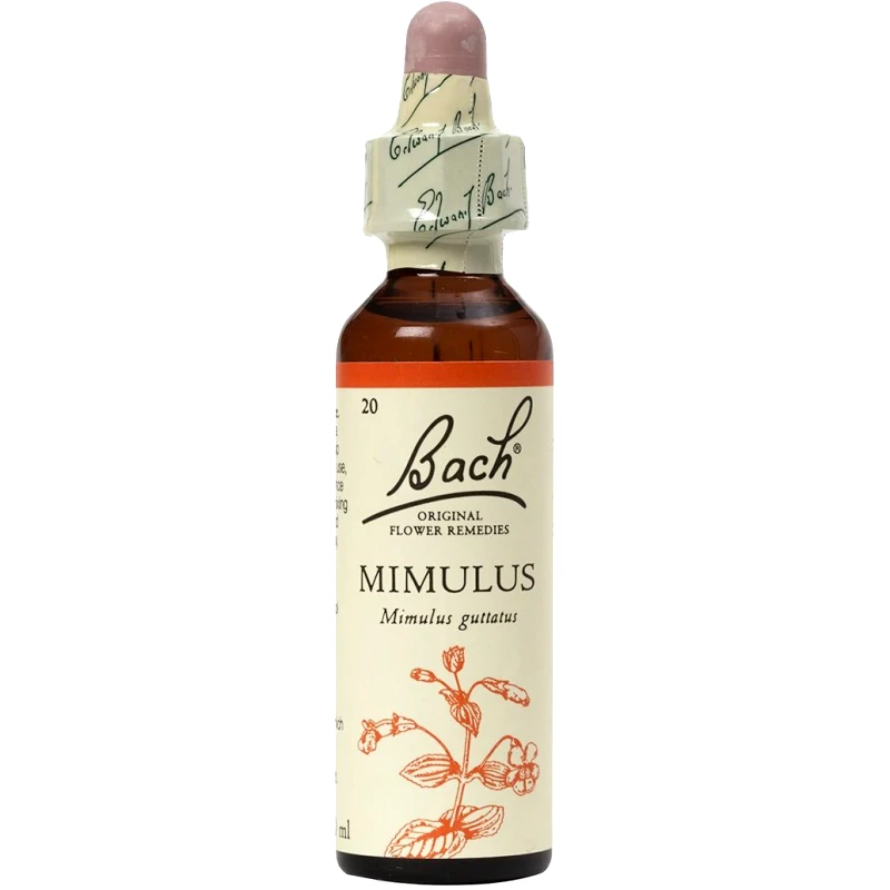 Bach Bach Mimulus Συμπλήρωμα Διατροφής με Εκχύλισμα Μίμουλου για την Ενίσχυση της Αυτοπεποίθησης & του Αισθήματος Ασφάλειας 20ml