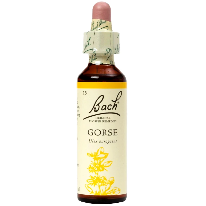 Bach Bach Gorse Συμπλήρωμα Διατροφής Ανθοϊάματος με Εκχύλισμα Ράχου για Ψυχική & Πνευματική Ανάταση που Χαρίζει Αυτοπεποίθηση 20ml