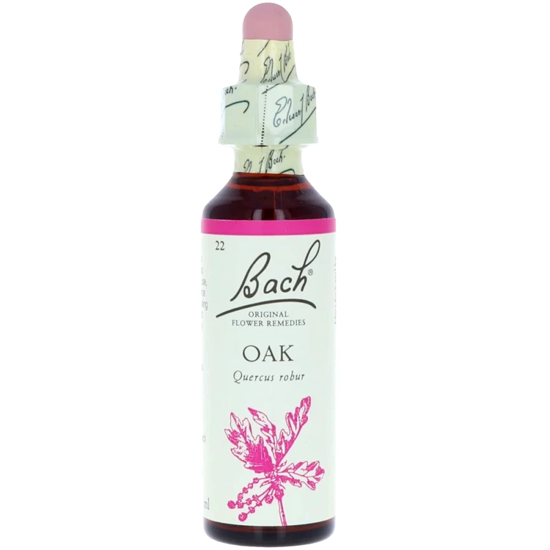 Bach Bach Oak Συμπλήρωμα Διατροφής Ανθοϊάματος με Εκχύλισμα Βελανιδιάς για Πνευματική Τόνωση & Ενέργεια Κατά της Κούρασης 20ml