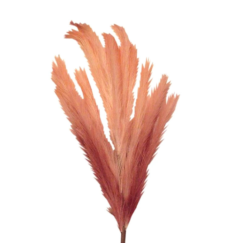 Art Et Lumiere Κλαδί Pampas Ροζ-Λευκό Art Et Lumiere 100εκ. 10640 (Σετ 6 Τεμάχια) (Χρώμα: Λευκό) - Art Et Lumiere - lumiere_10640