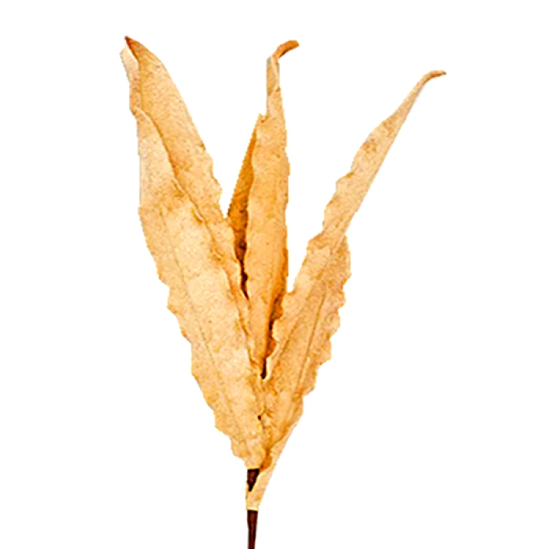 Art Et Lumiere Κλαδί Με Φύλλα Ιβουάρ Art Et Lumiere 80εκ. 08724 (Σετ 6 Τεμάχια) (Χρώμα: Ιβουάρ) - Art Et Lumiere - lumiere_08724