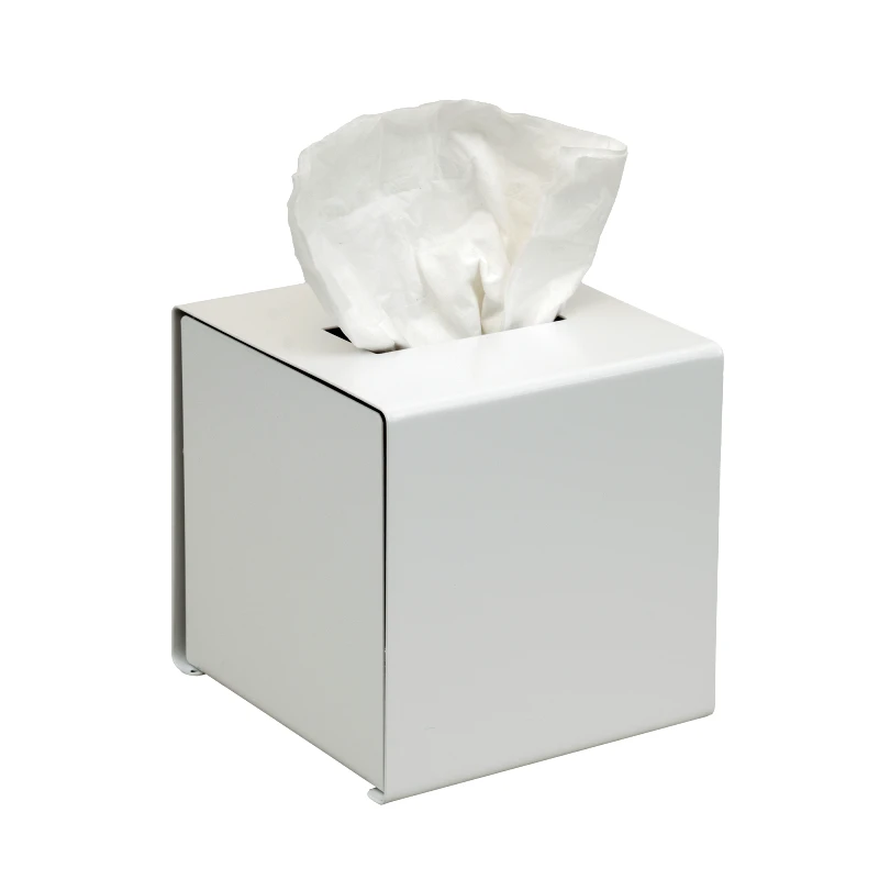 Pam & Co Θήκη Για Χαρτομάντηλα Inox White Matte 13εκ. Pam & Co 124-033 (Χρώμα: Λευκό, Υλικό: Inox) - Pam & Co - 124-033
