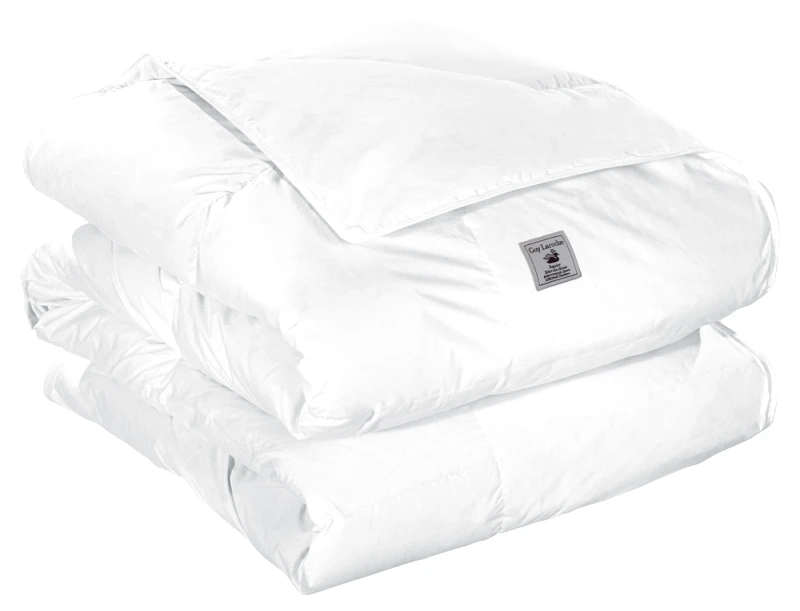 Guy Laroche Πάπλωμα Πουπουλένιο-Βαμβακερό Μονό 160x220εκ. Normal Guy Laroche (Ύφασμα: Βαμβάκι 100%, Υλικό: Πούπουλο, Χρώμα: Λευκό, Μέγεθος: Μονά) - Guy Laroche - 5206480677847