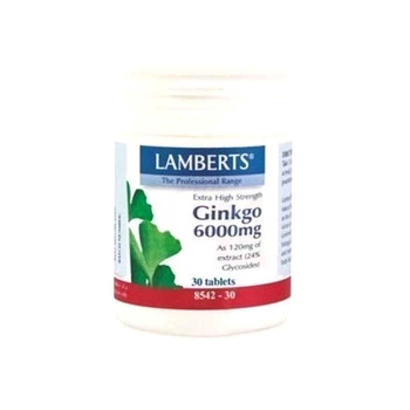 LAMBERTS LAMBERTS Ginkgo Biloba Extract 6000MG για την Διατήρηση της Βραχυπρόθεσμης Μνήμης 30tabs