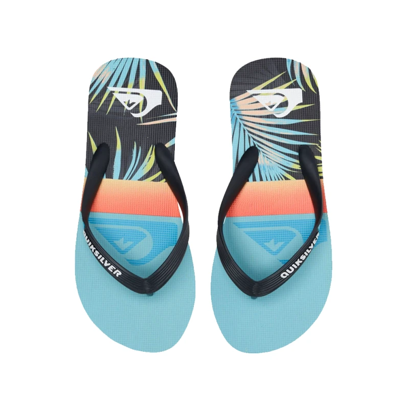 Quiksilver Quiksilver Molokai Art Youth Παιδικές Σαγιονάρες (9000103602_59124)