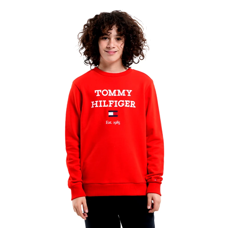 Tommy Jeans Tommy Jeans Logo Παιδική Μπλούζα Φούτερ (9000175327_51584)