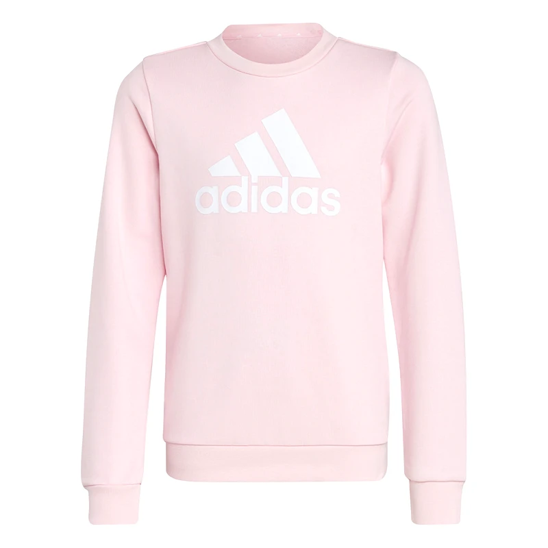 adidas G Bl Swt (9000153835_33795) φωτογραφία