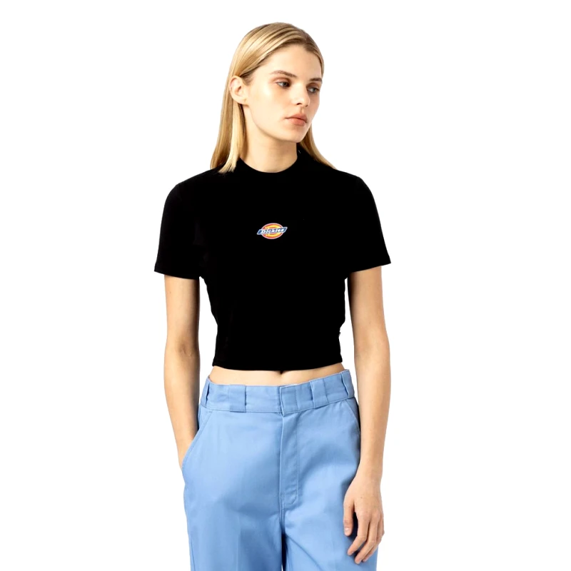 Dickies Dickies Maple Valley Tee Black (9000189161_1469)